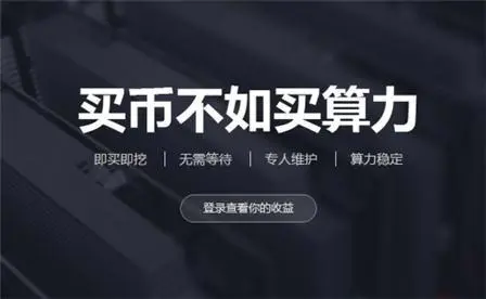 比特币怎么保护数据(比特币怎么保护数据信息)
