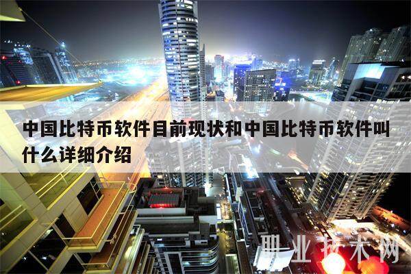玩比特币用哪个软件(玩比特币赚到钱的概率有多少)